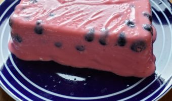 Pink molded jello on a blue plate with blueberries