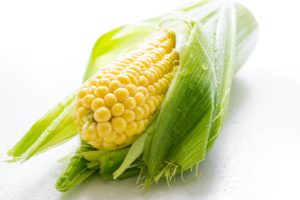 bright close up corn delicious
