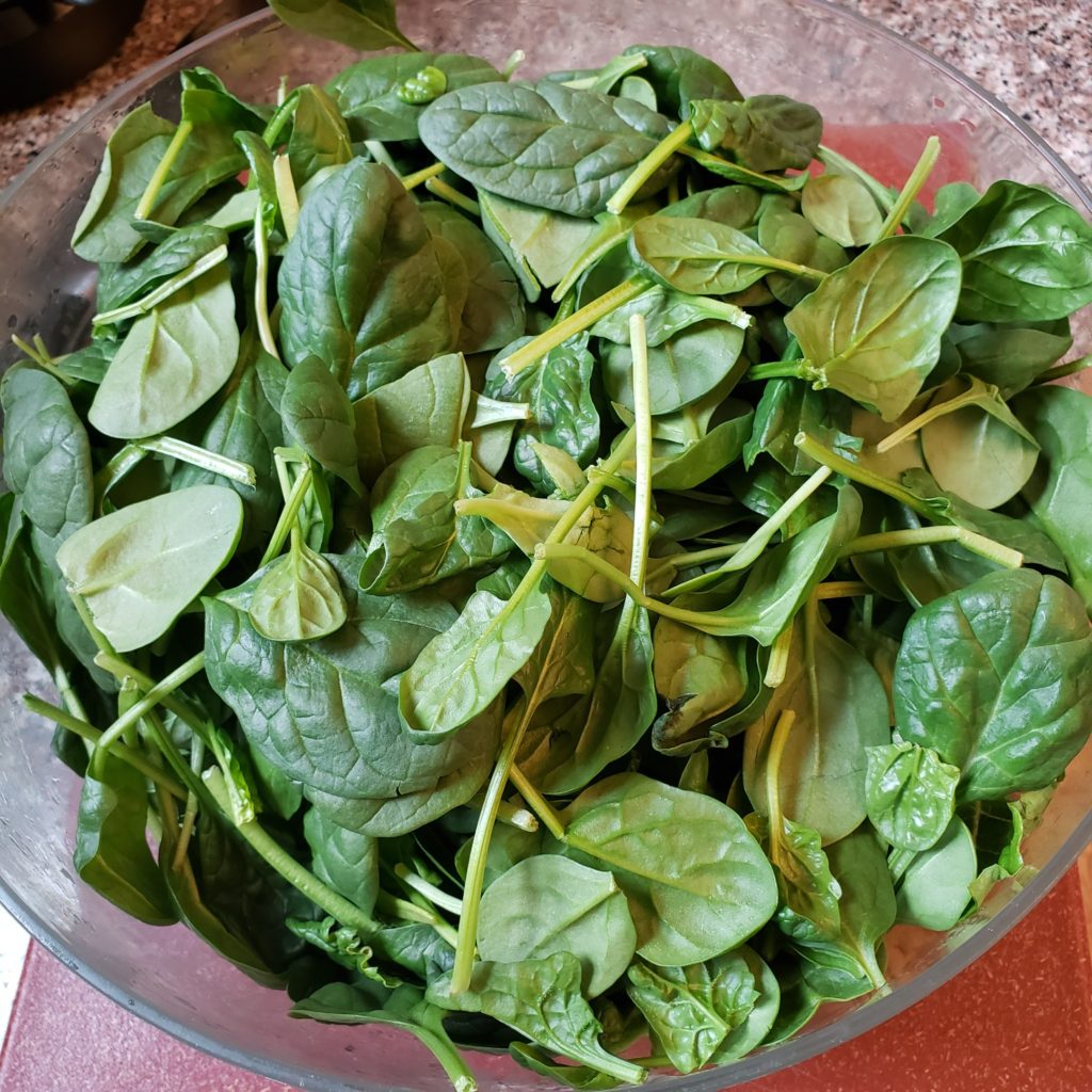 Spinach in a big salad bowl