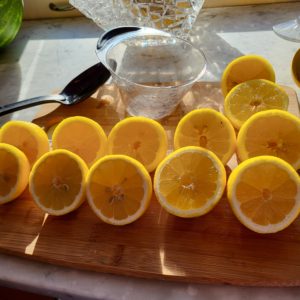 Sliced lemons lined up on a cutting board for juicing